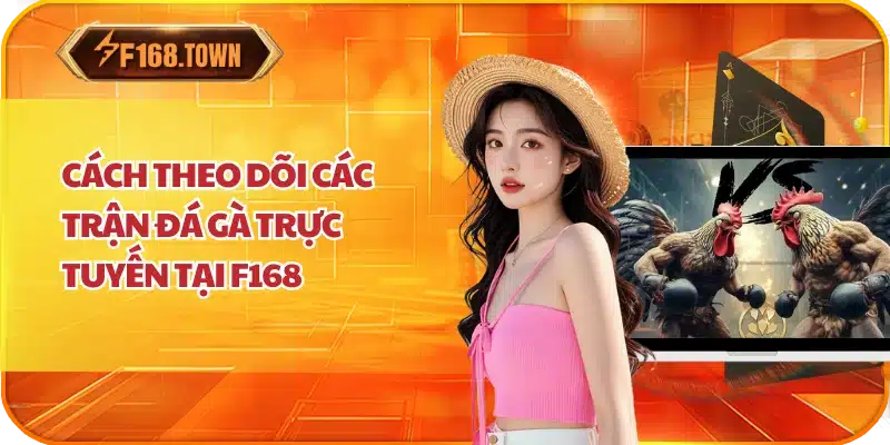 Cách Theo Dõi Các Trận Đá Gà Trực Tuyến Tại F168