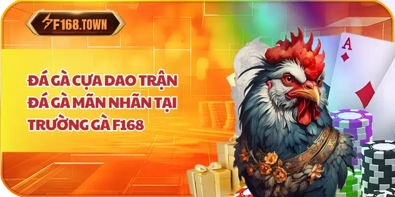 Đá Gà Cựa Dao | Trận Đá Gà Mãn Nhãn Tại Trường Gà F168